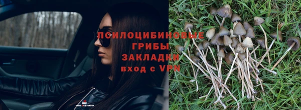 винт Михайловск